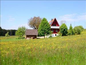 Neues Haus vom 12. März  2018